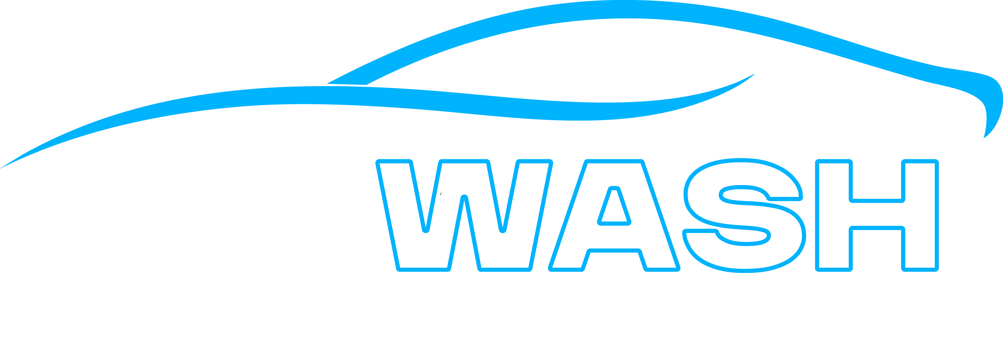 VIP WASH Logo
