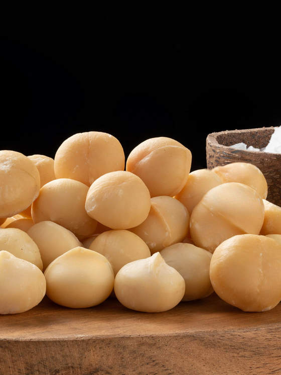 Graded macadamia kernel ready for packing