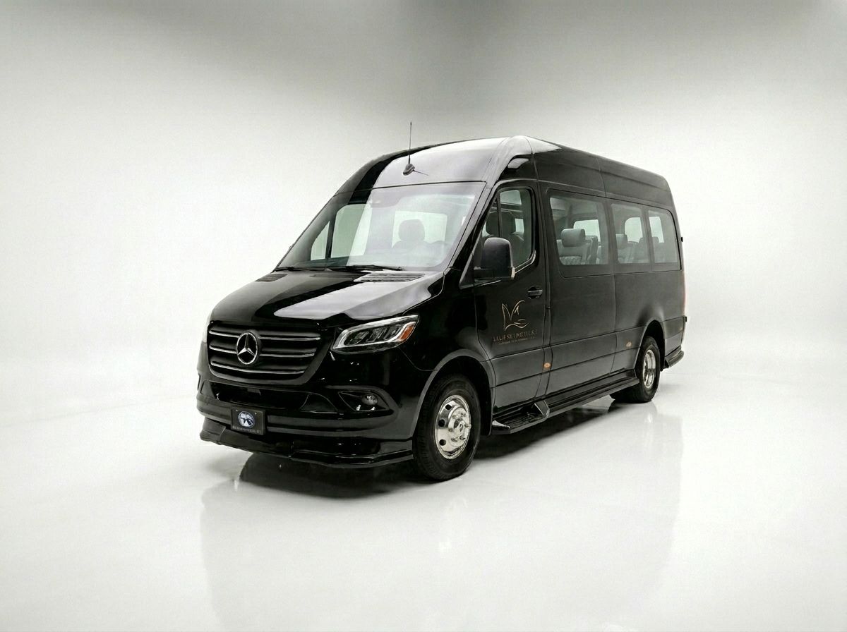 Minibús Sprinter