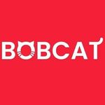 Bobcat