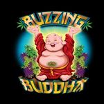 Buzzing Buddha