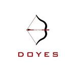 Doyestech