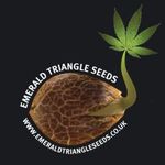 Emerald Triangle Seeds