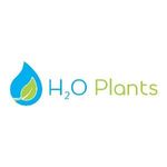 H2O Plants