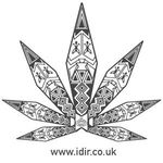 IDIR CBD
