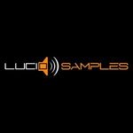 Lucid Samples