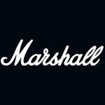 Marshall Headphones