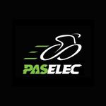Paselec Ebike