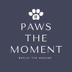 Paws the Moment