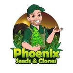 Phoenix Seeds & Clones