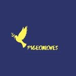Pigeonloves