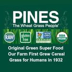 Pines Wheat Grass