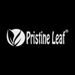 Pristine Leaf