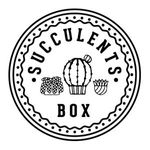 Succulents Box