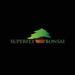 SuperFly Bonsai