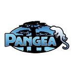 Pangea Reptile