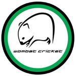 Wombat Cricket