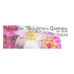 Yellow Mountain Garden