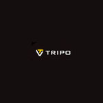 Tripo AI