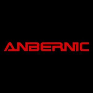 Anbernic Coupons