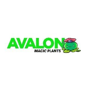 Avalon Magic Plants Coupons