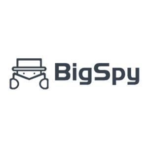 BigSpy Coupons