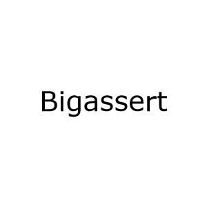 Bigassert Coupons