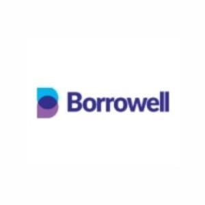 Borrowell Coupons