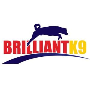 BrilliantK9 Coupons