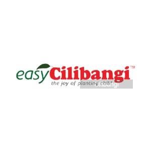 Cilibangi Coupons