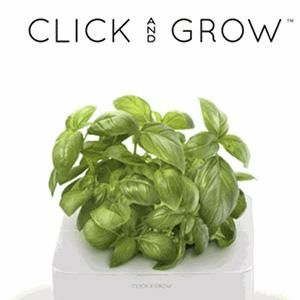 Click & Grow Coupons