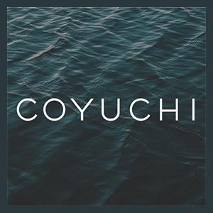 Coyuchi Coupons