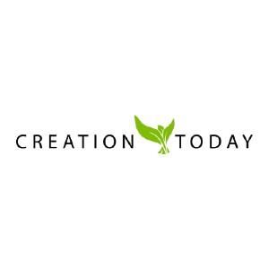 Creation Today Coupons