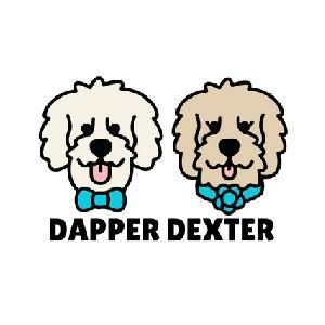 Dapper Dexter Coupons