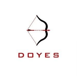 Doyestech Coupons