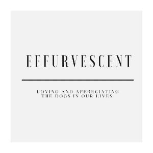 Effurvescent Coupons