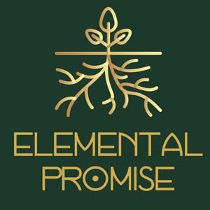 Elemental Promise Coupons