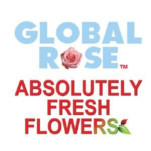 GLOBALROSE Coupons