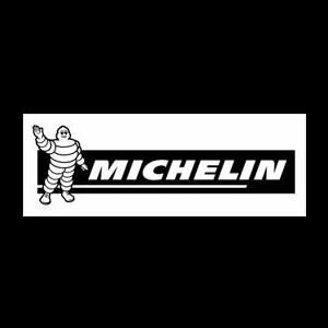 Michelin  Coupons