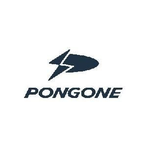 Pongone Coupons
