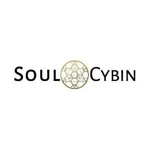 SoulCybin Coupons