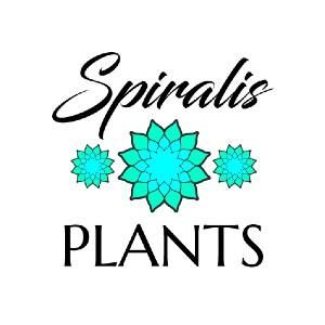 Spiralis Plants Coupons