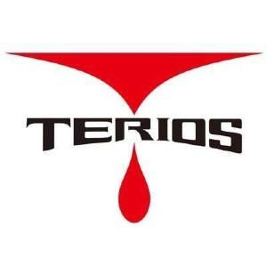 TERIOS Gaming Coupons