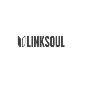 Linksoul Coupons