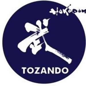 Tozando International Coupons