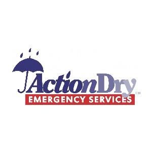 Action Dry Coupons