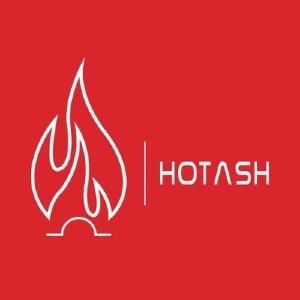 Hot Ash Stove Coupons