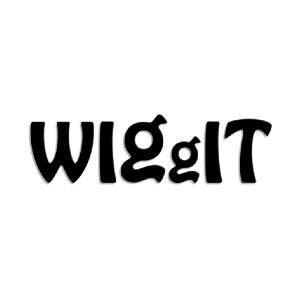 WIGgIT Coupons