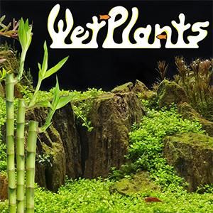 WetPlants Coupons