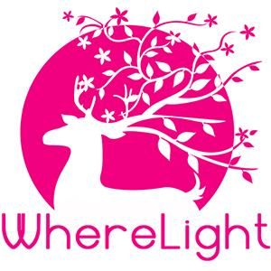 WhereLight Coupons